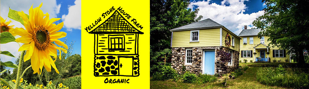 Yellow Stonehouse Farm CSA